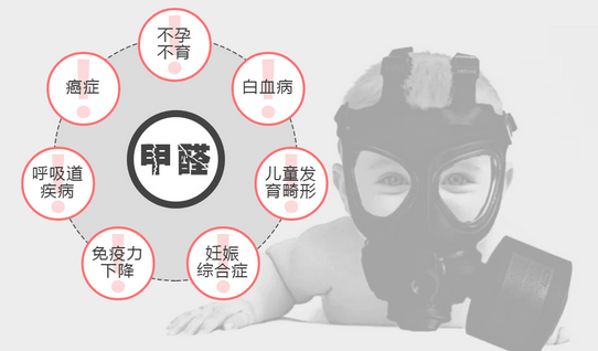 常見(jiàn)的“除甲醛”方法有哪些呢？有什么優(yōu)缺點(diǎn)？