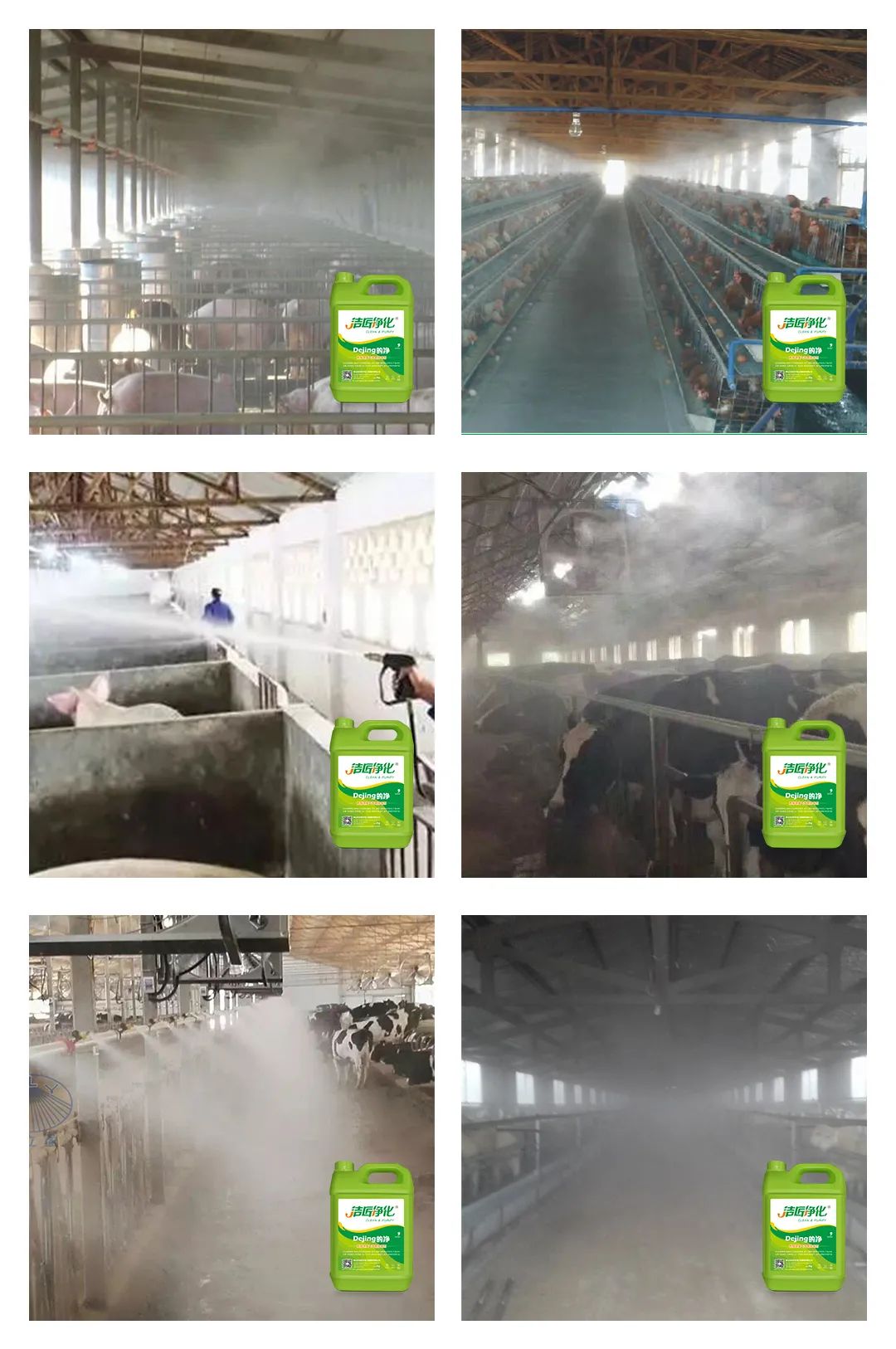 養(yǎng)殖場(chǎng)太臭，用Dejing的凈除臭劑迅速除臭！豬圈/雞場(chǎng)/牛場(chǎng)/羊圈....jpg