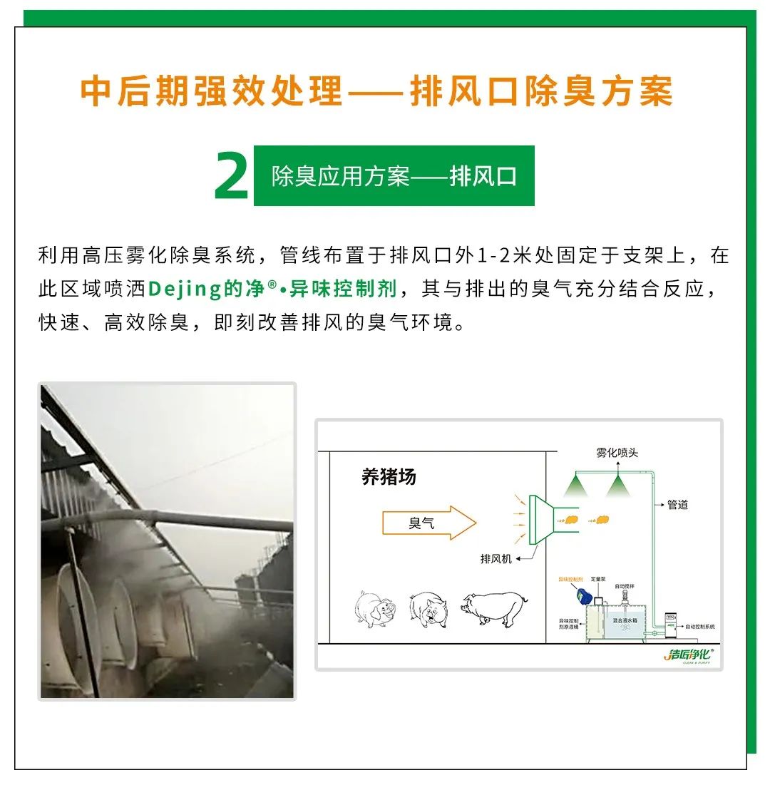 Dejing的凈養(yǎng)殖場除臭劑如何迅速清理養(yǎng)殖場臭味？.jpg